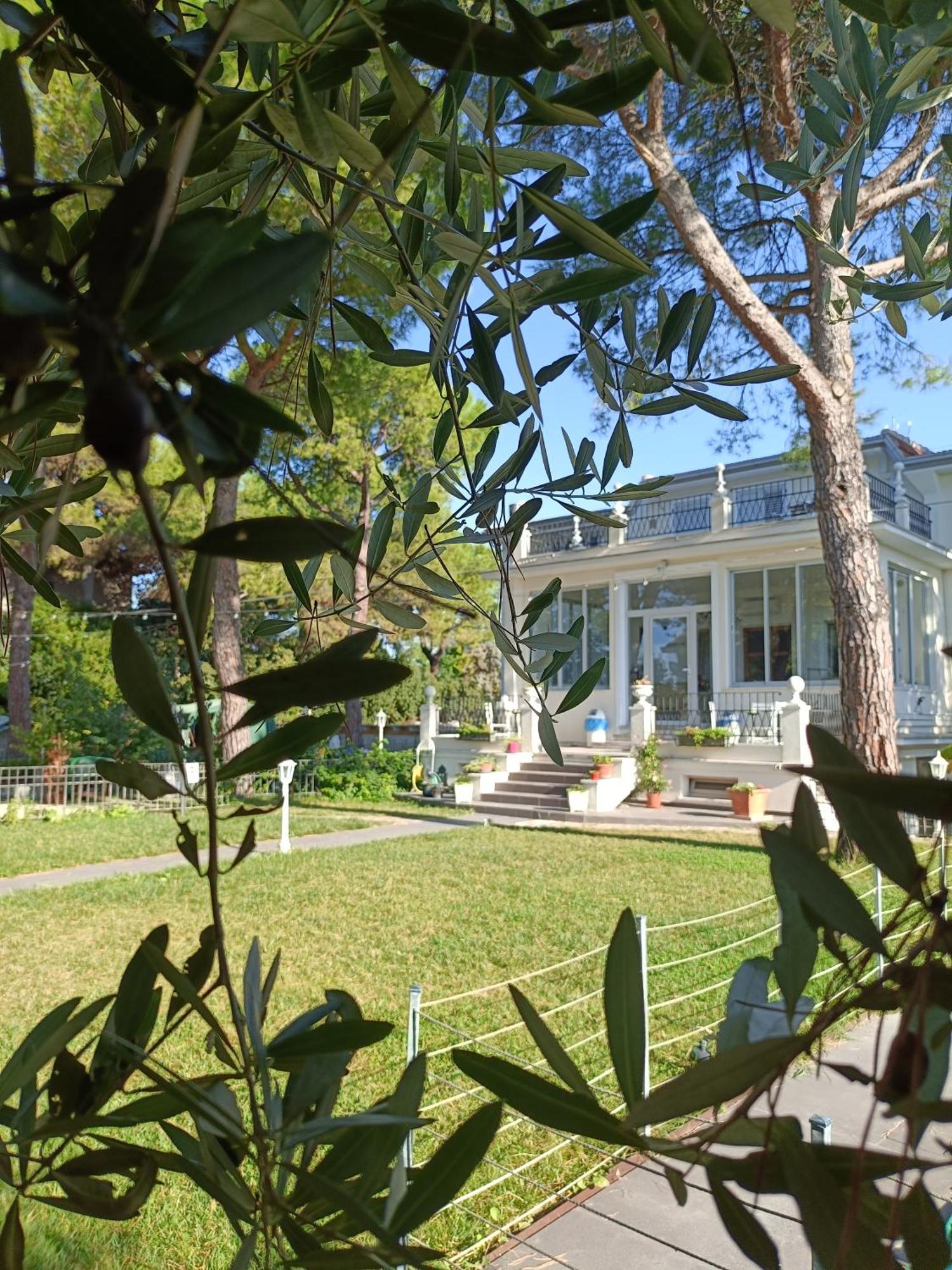 קסטלפידרדו B&B Retro'Conero מראה חיצוני תמונה